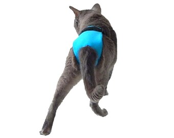 pants for cats
