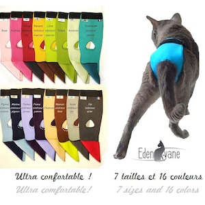Anti-urinary marking panties for breeding cats - EXPRESS panties, made in France by EDENVANE (allows defecation in the litter box)