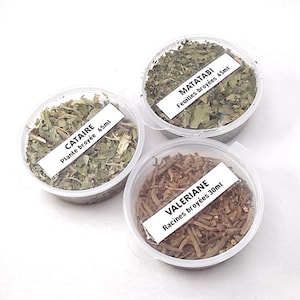 Herbes à chat naturelles séchées : cataire, valériane et matatabi.