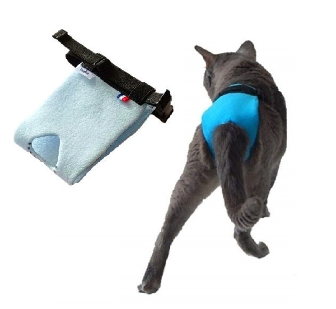 Antimarking Panties for Breeding Cats the EXPRESS Panties Etsy