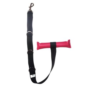 Peut inclure: Une laisse noire en nylon pour chien avec un mousqueton et des anneaux en métal argenté, reliée à une poignée rembourrée rose vif. La laisse est conçue pour la sécurité et le contrôle des animaux de compagnie.