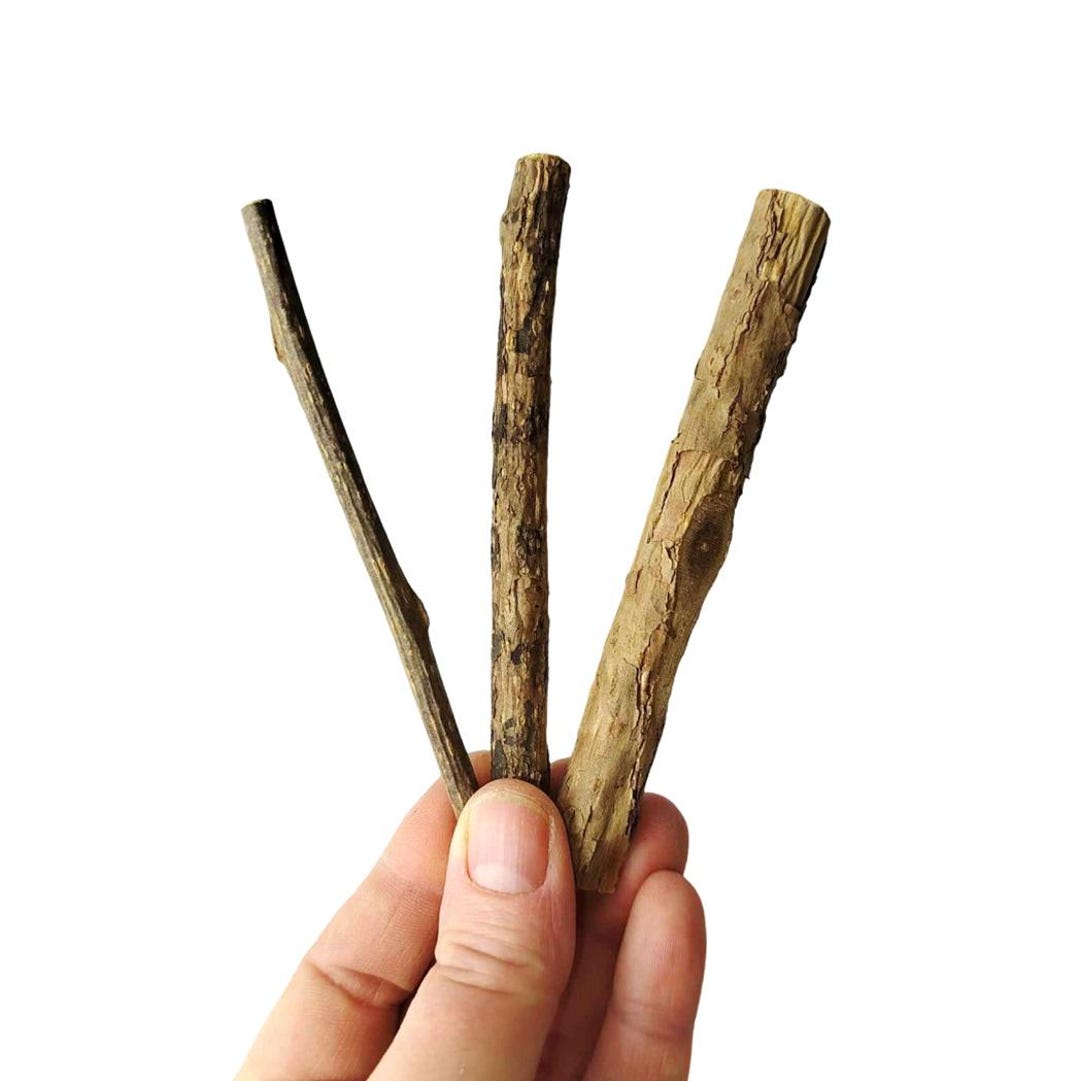 12 Bâtons à Lécher Pour Chat En Actinidia Polygama (herbe à Chat) - Snack Naturel Pour Nettoyage Dentaire Et Stimulation - 10