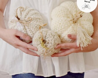 Rustic Crochet Pumpkin Pattern - PDF 3 Sizes, easy Fall Decor