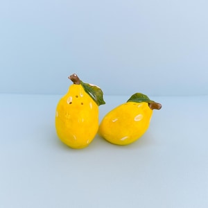 Ceramic Salt And Pepper Shakers, Porcelain Lemon Salt And Pepper Set, Amalfi Coast Kitchen Decor