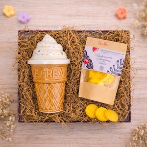 Keramik Eis Diffusor für ätherische Öle, Sojawachs schmilzt und Wachsschmelzer Geschenkset, Kawaii Aromatherapie-Geschenke für Zuhause