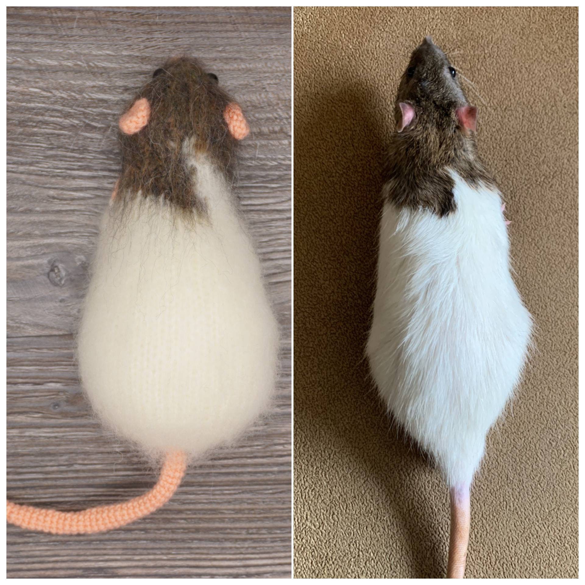 Custom realistic rat toy make from photo 7 inches toy Etsy