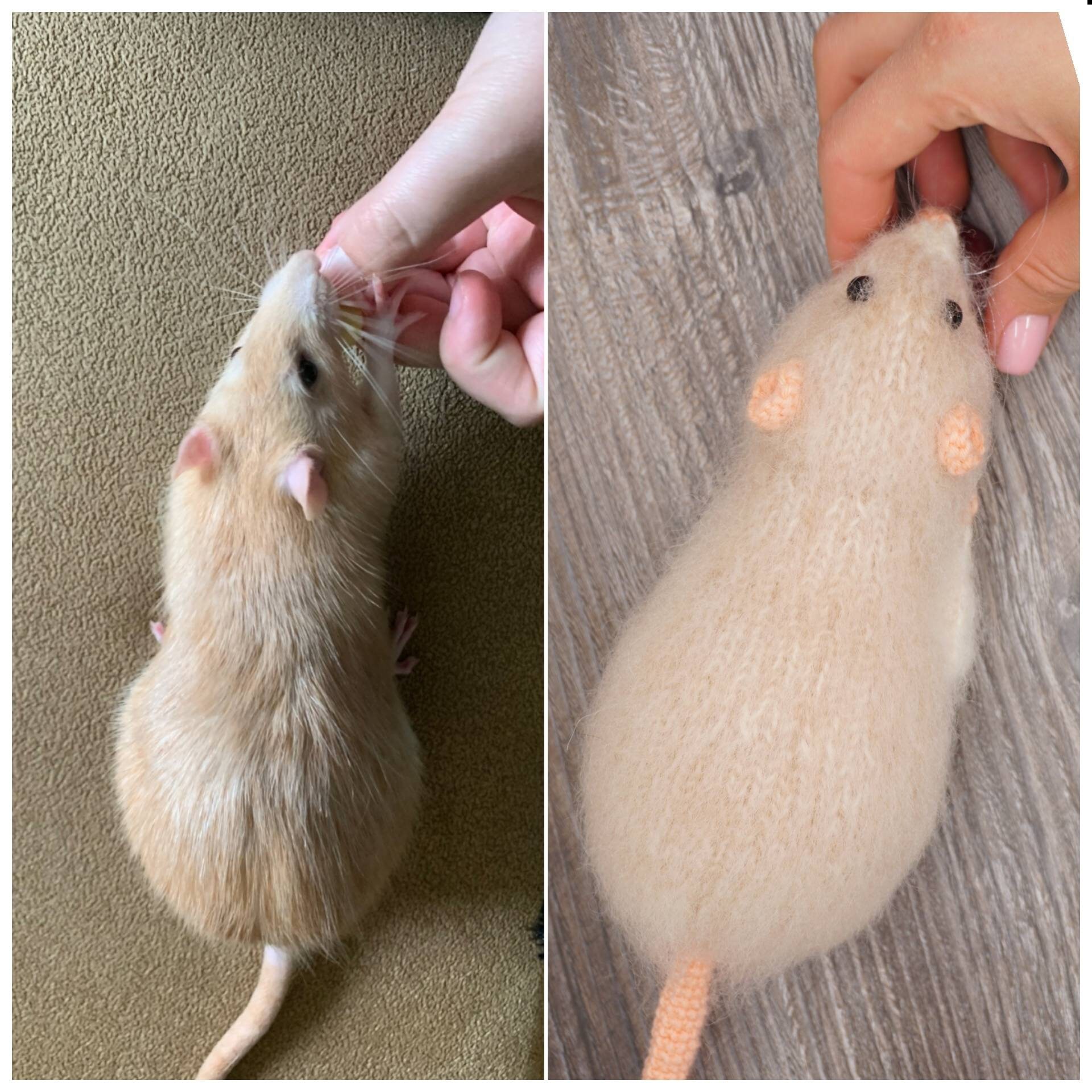 Custom realistic rat toy make from photo 7 inches toy Etsy