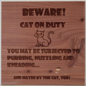 Katze im Einsatz Humor