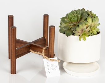 Mid Century Ceramic Succulent Planter with Acacia Wood Stand- with Drainage, Hidden Saucer