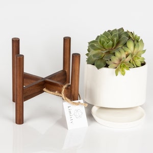 Mid Century Ceramic Succulent Planter with Acacia Wood Stand- with Drainage, Hidden Saucer