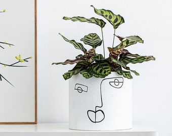 7 Inch Ceramic Face Planter, Modern Nordic Pot with Handmade Finish, Unique Large Indoor Planter, with Drainage and a Plug