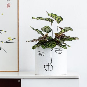 7 Inch Ceramic Face Planter, Modern Nordic Pot with Handmade Finish, Unique Large Indoor Planter, with Drainage and a Plug