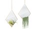 Set 2 Gold Wall Mirror Decor, Unique Airplant Hanger, Boho Chic Air Plant Holder, Modern Mirror Plant Box, Hanging Accent, Boho Wall Mirror 