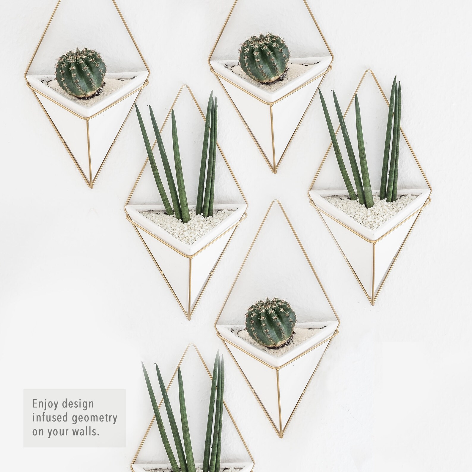 Set of 4 Hanging Succulent Planter with Gold Frame Gold Wall Etsy