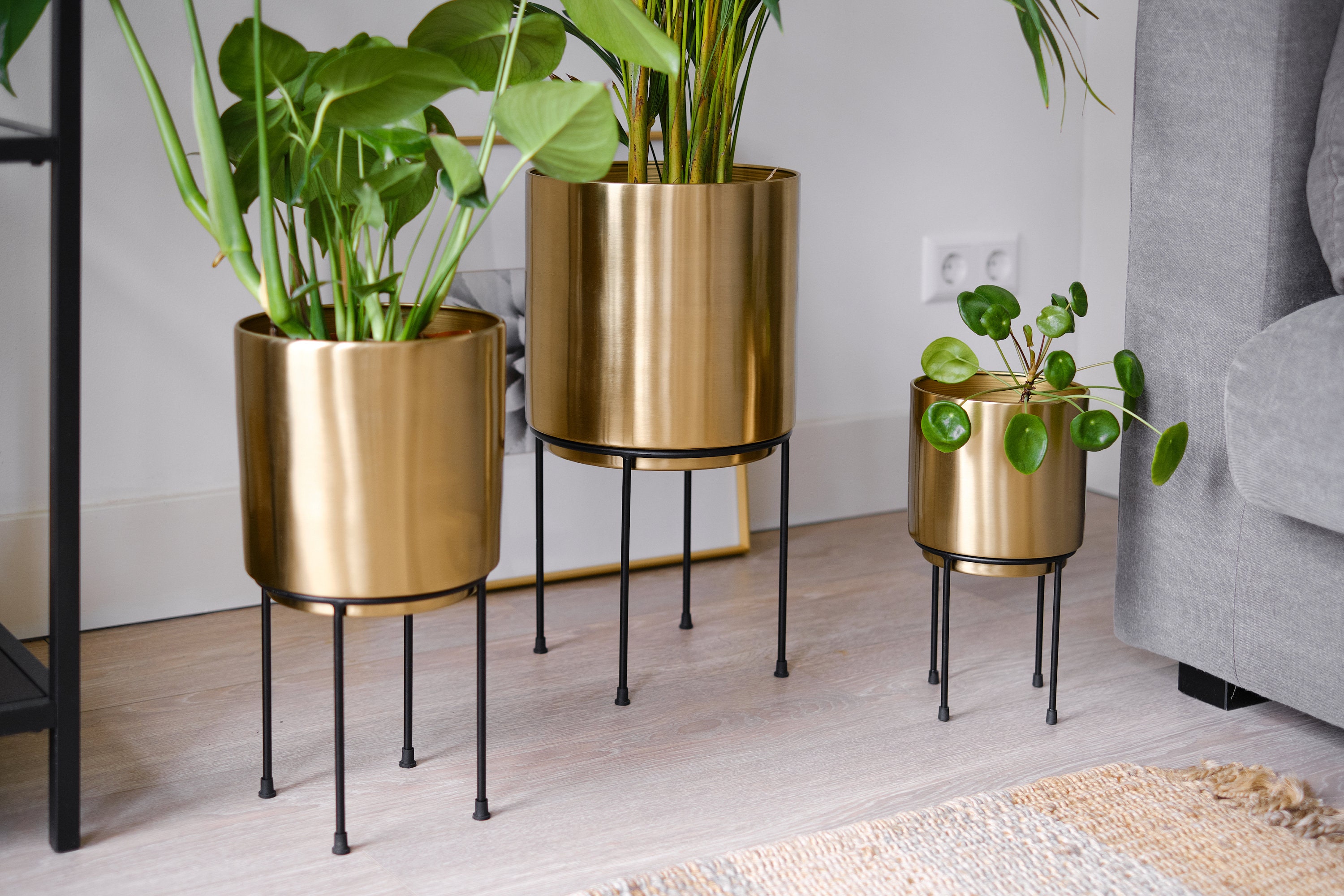 Set of 2 Modern Brass Gold Planter with Metal Plant Stand Snake Plant Indoor Decoration Modern Decor for Orchid Aloe 18 and 24 Inch Tall 7 Inch Large Flower Pot with Black Mid Century Stands 