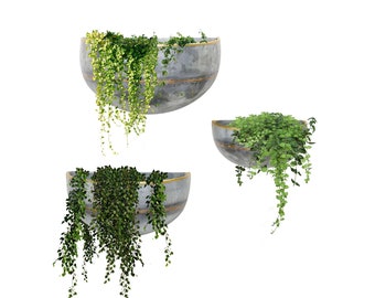Set 3 Hanging Planter for Outdoor & Indoor Plants, Galvanized Iron Pot, Large Flower Hanger for Patio, Garden, Balcony and Terrace