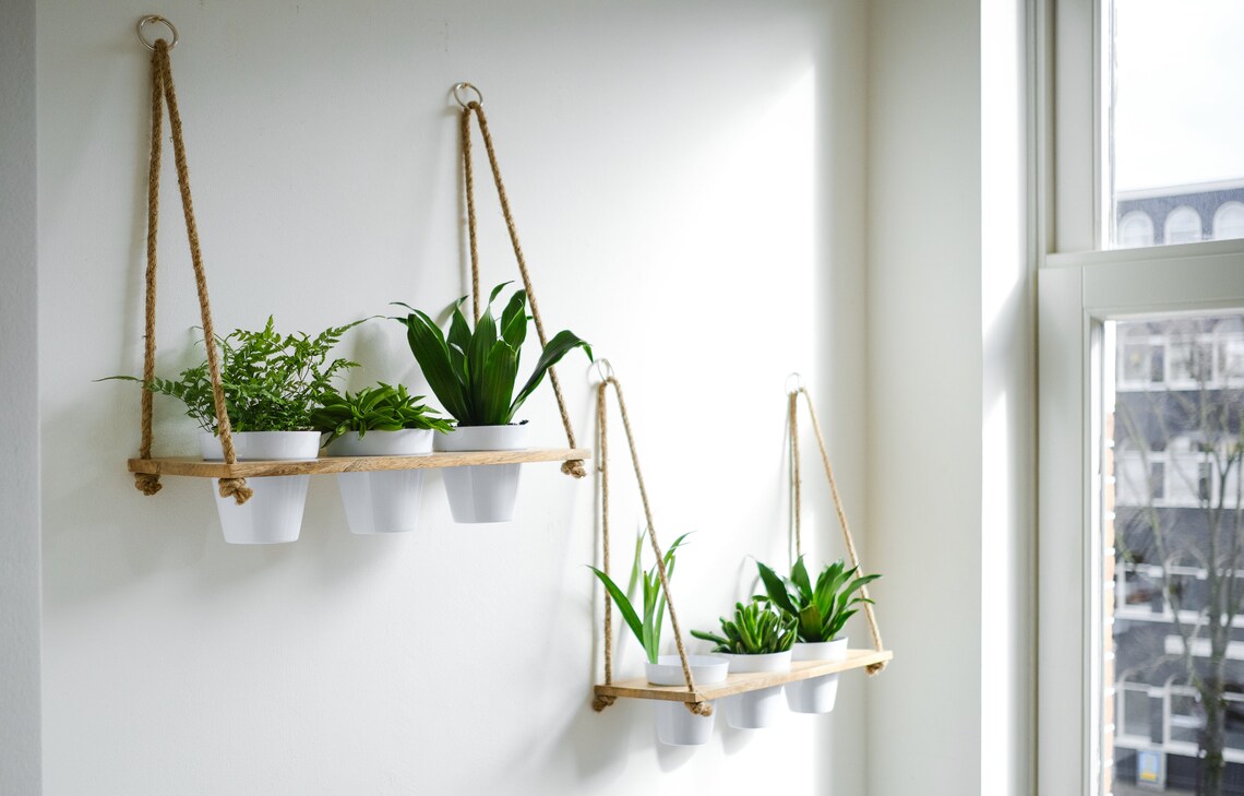Set of 2 Hanging Herb Garden & Wall Shelf With White Pot Set Etsy
