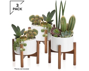 3 Pack Mid Century Modern Succulent Planter | 5 Inch Pot with Wood Stand & Hidden Saucer | Round White Small Ceramic Planters with Drainage