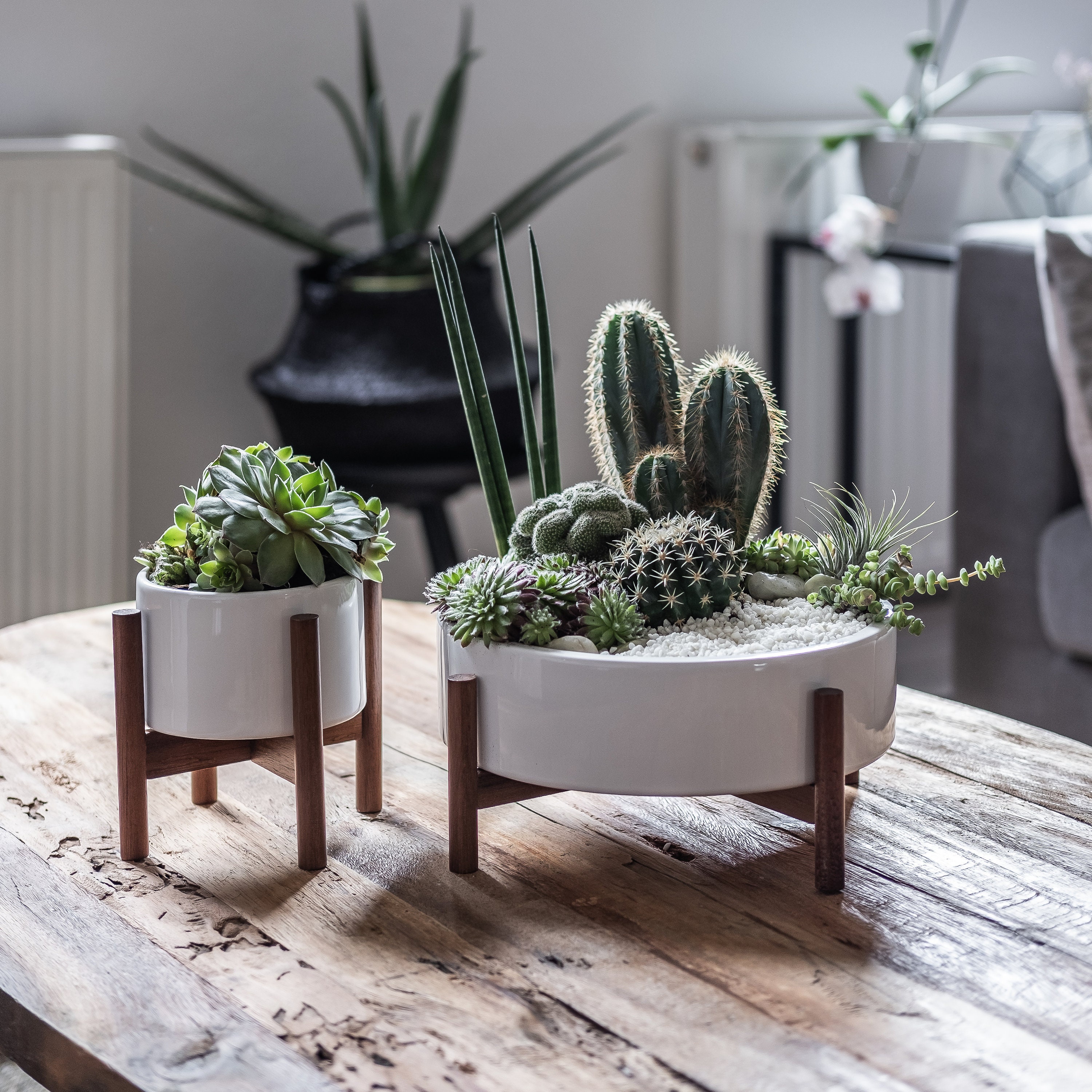 Mid Century Ceramic Planter Bowl with Acacia Wood Stand Etsy