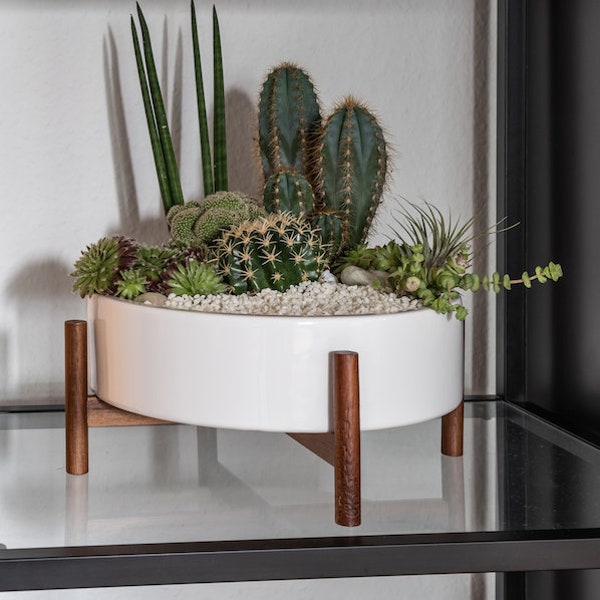 Premium 10 inch Ceramic Succulent Planter with Acacia Wood Stand, Extra Large Bowl, Drainage and Plug, Stylish Round Design with Stand