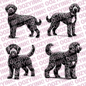 Labradoodle Set SVG Digital Download für Siebdruck, Sublimation, Cricut oder andere unterstützte Schneidemaschinen.