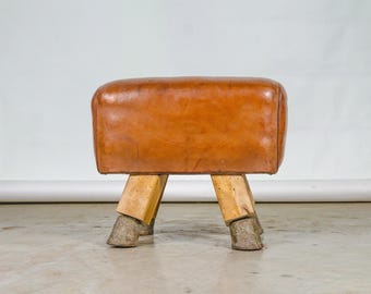 Vintage Czech Leather Gymnastics Stool Bench Pommel Horse Top 1930s