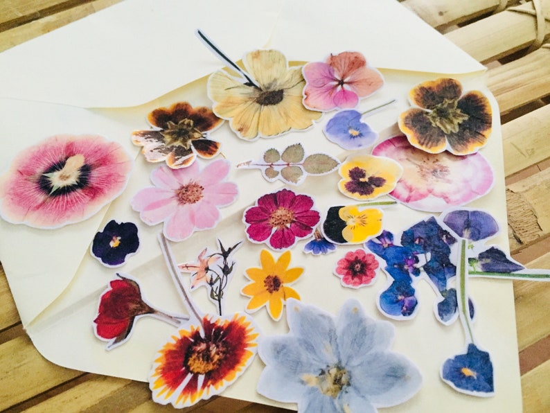 flora sticker set flower stickers dry flowers stickers floral etsy
