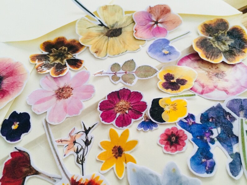 flora sticker set flower stickers dry flowers stickers floral etsy