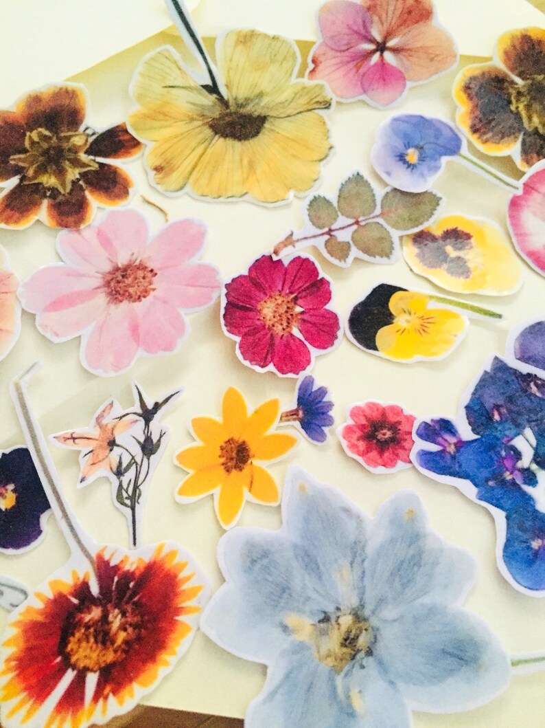 flora sticker set flower stickers dry flowers stickers floral etsy