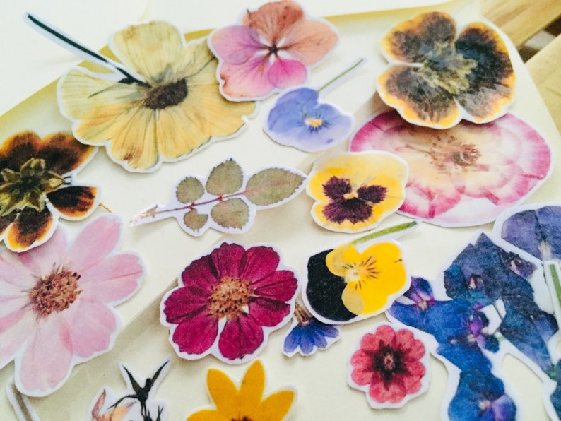 flora sticker set flower stickers dry flowers stickers floral etsy
