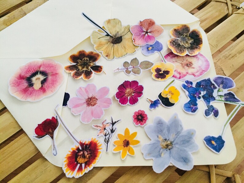 flora sticker set flower stickers dry flowers stickers floral etsy