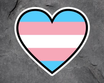 Trans Pride Sticker, Transgender Sticker, Trans Sticker, Trans Flag Aesthetic Stickers, Trans Ally Vinyl Stickers, Transgender Gifts,