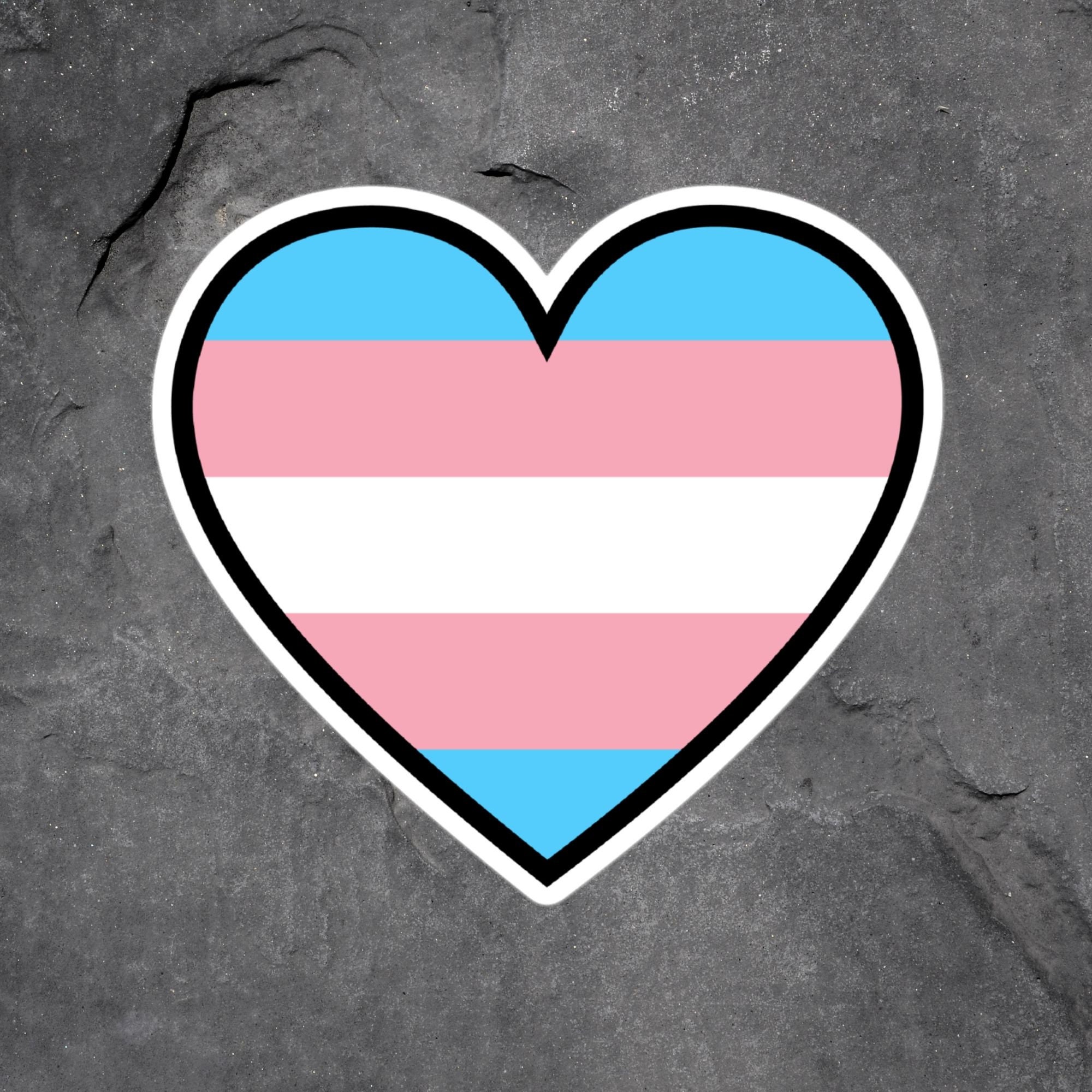 Trans Pride Sticker Transgender Sticker Trans Sticker Trans | Etsy