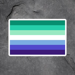 Puede incluir: Una pegatina con un dise&ntilde;o de bandera de rayas horizontales. La bandera tiene cinco rayas de colores alternos: verde azulado, verde azulado claro, blanco, azul claro, azul y azul oscuro.