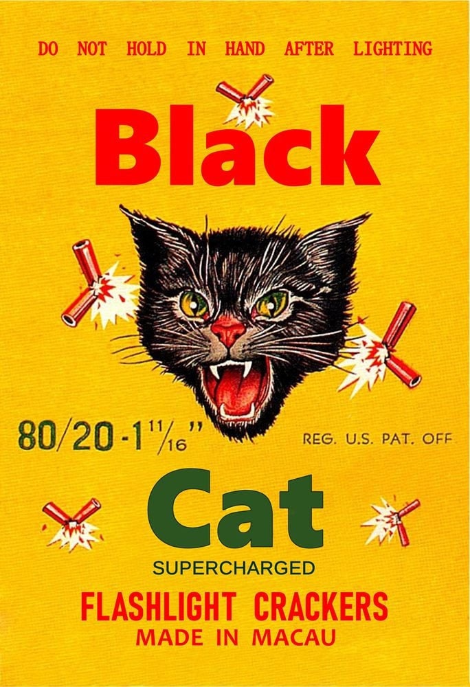BLACK CAT Firecrackers POSTER 13x19 Fireworks Meow Etsy