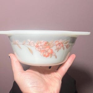 May include: A white glass bowl with a floral design. The bowl has a grey band with peach-coloured flowers and green leaves. The bowl is held in a person's hand.