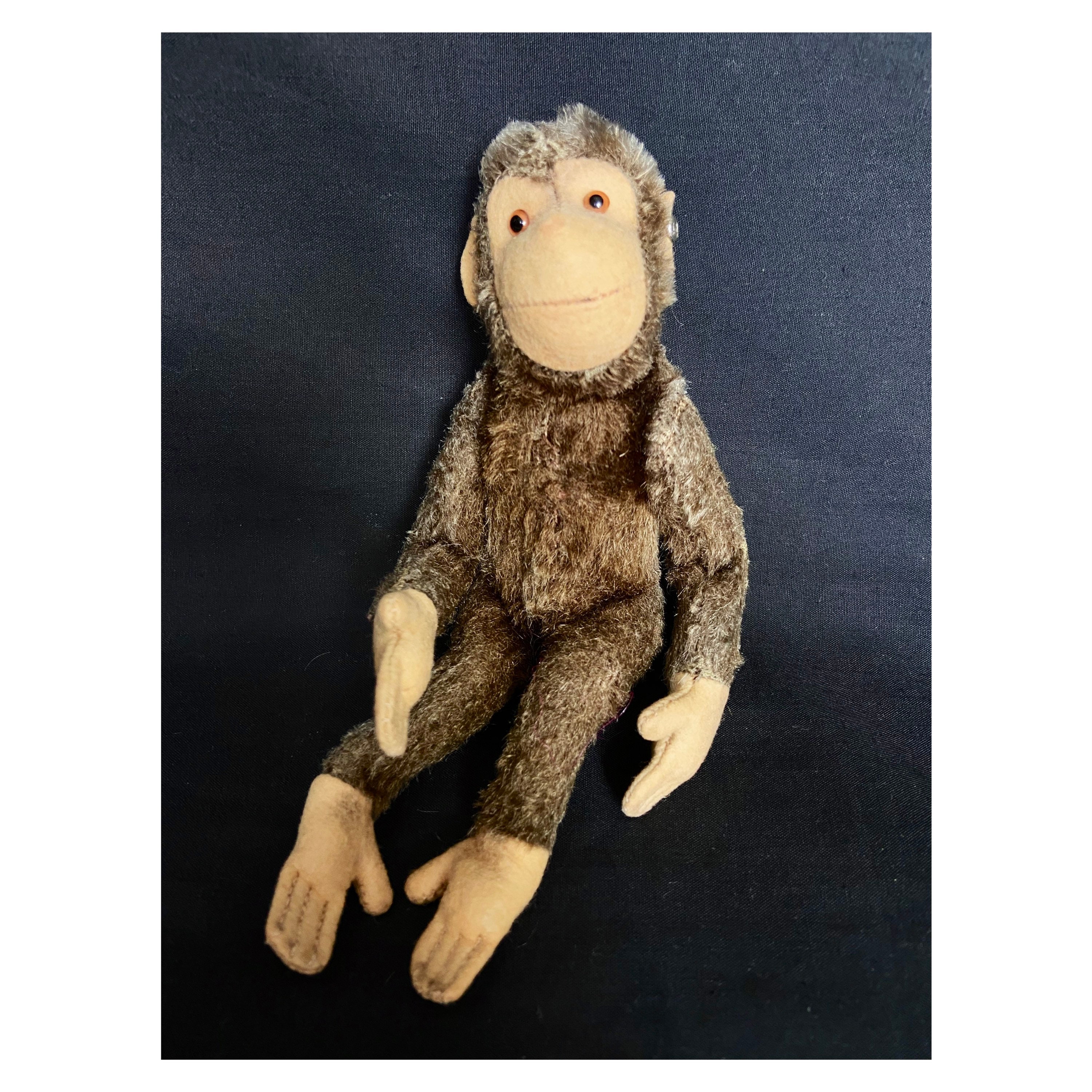 シュタイフ ヴィンテージ ジョッコ チンパンジー モンキー 動物 7