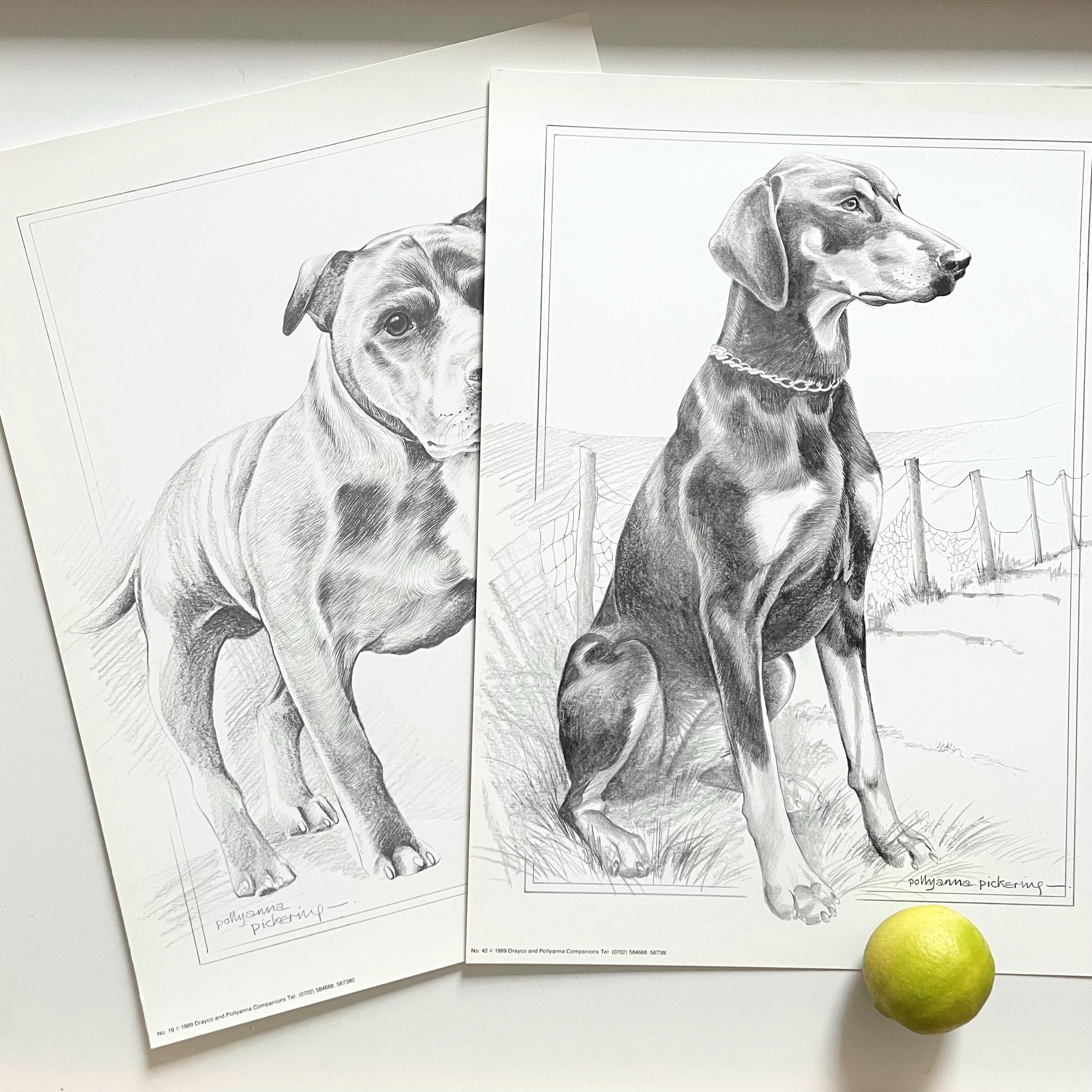 80 年代のビンテージ、ポリアンナ・ピカリングによる犬の肖像画の