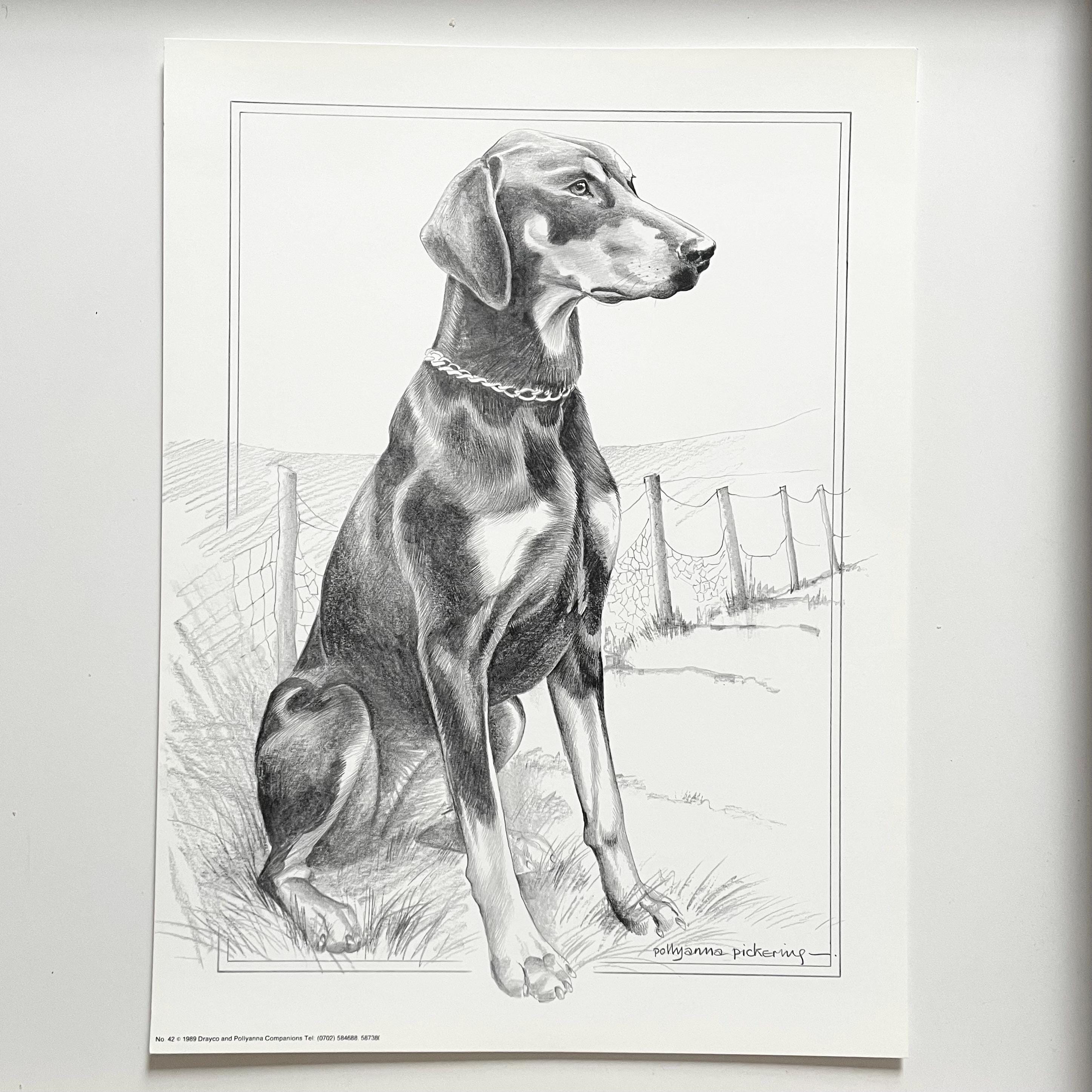 80 年代のビンテージ、ポリアンナ・ピカリングによる犬の肖像画の