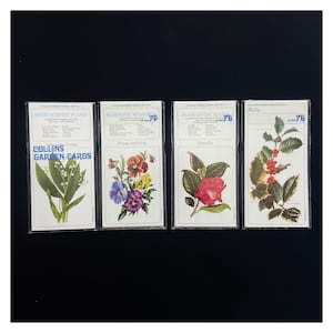 Carte Collins Garden vintage degli anni '60. Set completo 1-4 piante da giardino cottage. Regalo botanico.