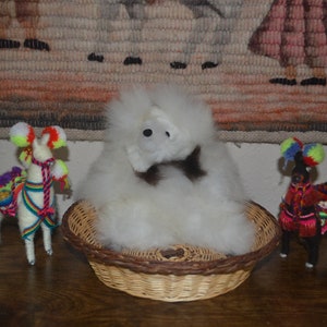 Brand New Soft Baby Alpaca Teddy Bear Handmade In Peru 6 Inches Tall #ETMB42
