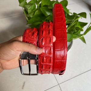Op de afbeelding: Een felrode riem met een textuur die op krokodillenleer lijkt. De riem heeft een zilverkleurige gesp en wordt getoond voor een groene plant. De leren riem is een stijlvol accessoire.
