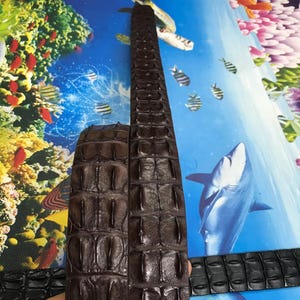 May include: Two brown leather straps with a crocodile skin pattern. The straps are folded in half and held in a hand.