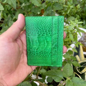 Porta carte di credito in vera pelle di struzzo VERDE/Porta biglietti da visita/Porta carte minimalista in pelle RFID/Regalo per lui, moglie