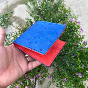 BLEU Portefeuille à deux volets en cuir d'autruche véritable carte pince à billets/portefeuille à deux volets pour homme/cadeau pour papa, lui/portefeuille à deux volets en cuir de luxe rouge