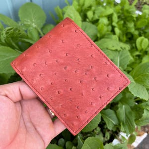 BRUINE echt struisvogelleer huid dubbelgevouwen portemonnee kaart geldclip / dubbelgevouwen herenportemonnee / cadeaus voor vader, hem / heren luxe dubbelgevouwen portemonnee