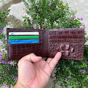 BROWN Hornback Genuine Allliigatoor Doppelseite Leder Haut Bifold Brieftasche Karte Geldscheinklammer / Geschenk für Ihn / Herren Luxus Leder Bifold Brieftasche