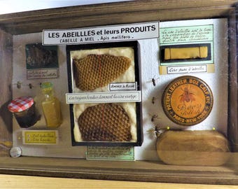 vitrine de presentation Le Miel et ses Secrets
