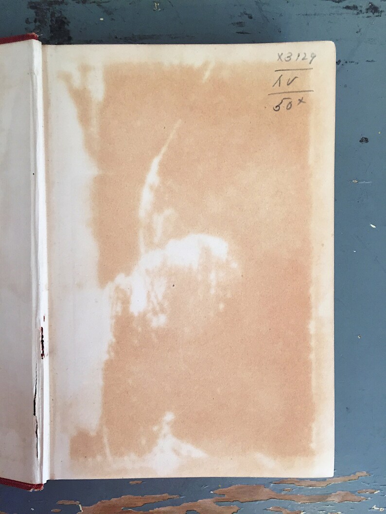 Może przedstawiać: Zbliżenie na białą stronę z brązową plamą. Strona zawiera ręcznie napisany tekst czarnym atramentem, kt&oacute;ry brzmi "X3129", "1V" i "50x".