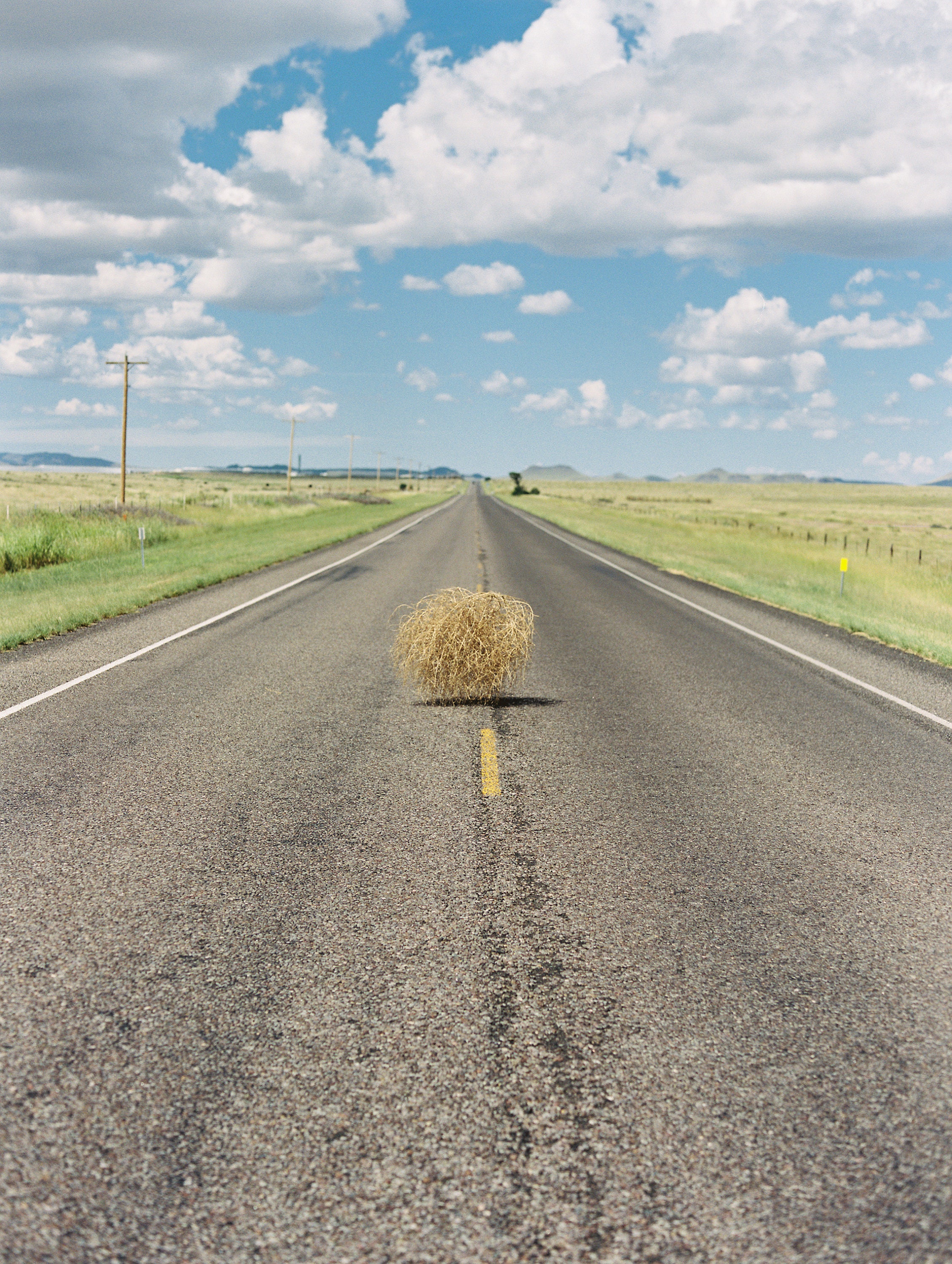 Spin Class: Why Tumbleweeds Are On a Roll in West Texas